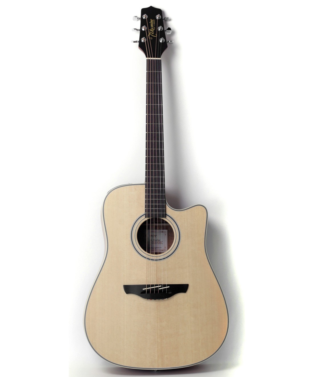 TAKAMINE EG510SC