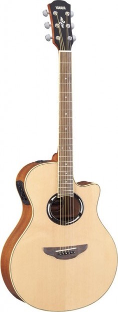 TAKAMINE G320