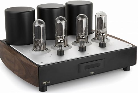 Моно-усилитель мощности Mastersound PF100 Litz Edition